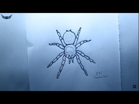 Video: Tarantula Nasıl çizilir