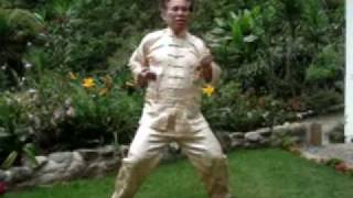 Siu Lin Tou of Choe Family Wing Choon screenshot 5