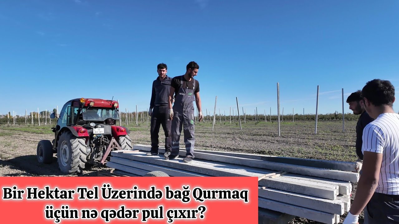 Tel Sistemlərinin Qurulması və Qiymətləri