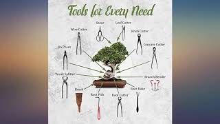 BambooMN Bonsai Kit 15pc Master Tool Set review