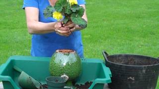 How to plant a Down Under Pot video - YouTube