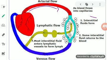 Class IX Science 01 07 2020 by Ms Mridulata Upadhyay