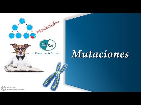 Vídeo: Diferencia Entre Mutación Espontánea E Inducida