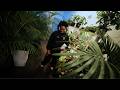 Bally Baby - Knock At The Door (Official Video)