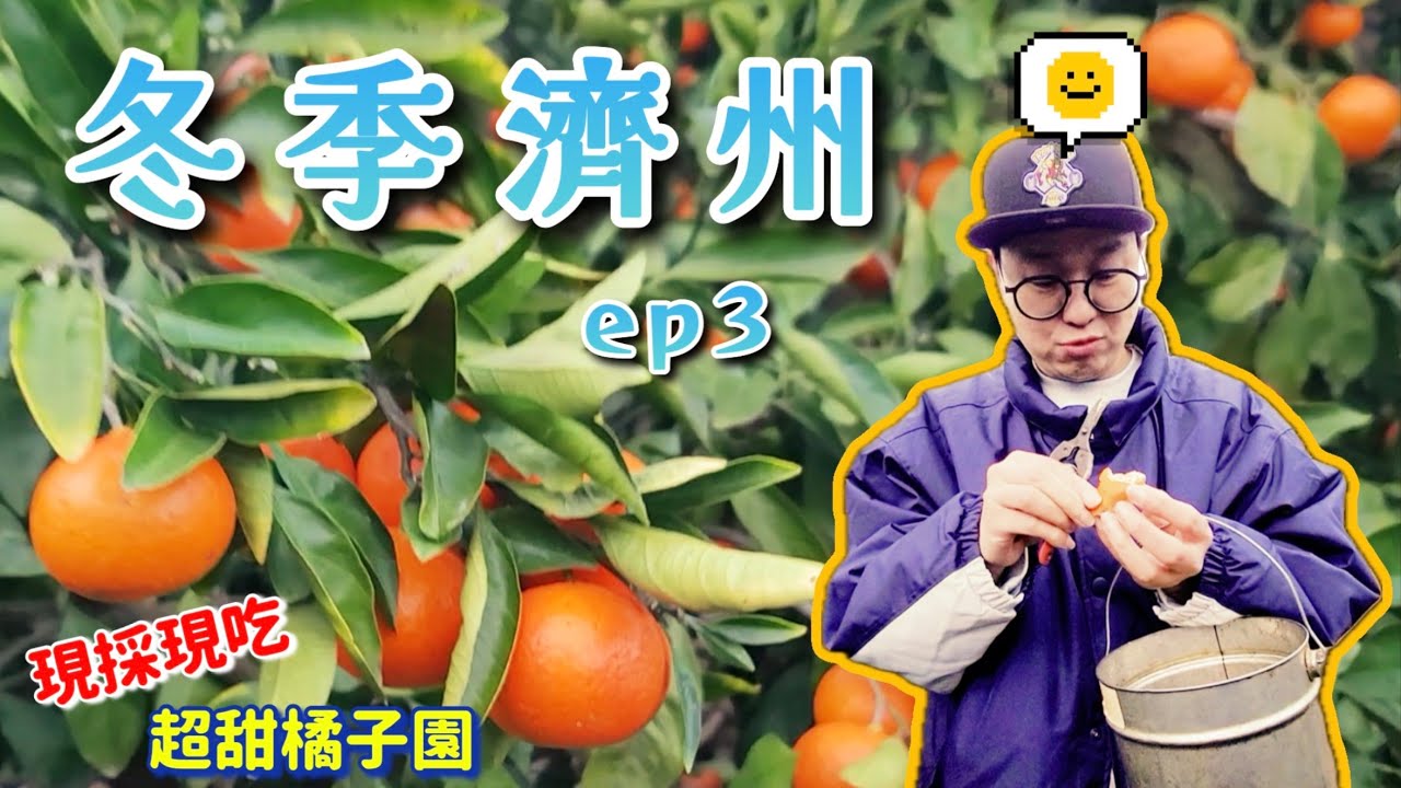 【冬季濟州ep3】濟州島的橘子是人生橘啊❤️ 不限時！不限量！現採現吃！室外冬天的🍊直接冰鎮，甜度爆表❗️我會為了你 再回來的‼️