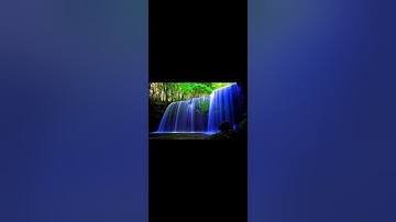 سورة الحجرات بصوت القارئ عبد الرحمن مسعد افضل تلاه تخشع لها القلوب