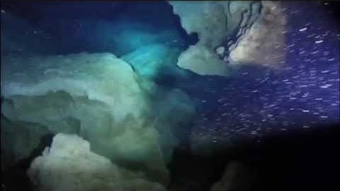 Ginnie Springs Cavern Dive