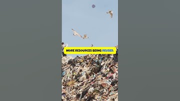 AI Revolutionizing Waste Management!