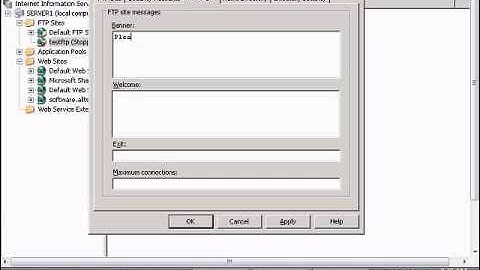 Setup banner for FTP users in Windows IIS