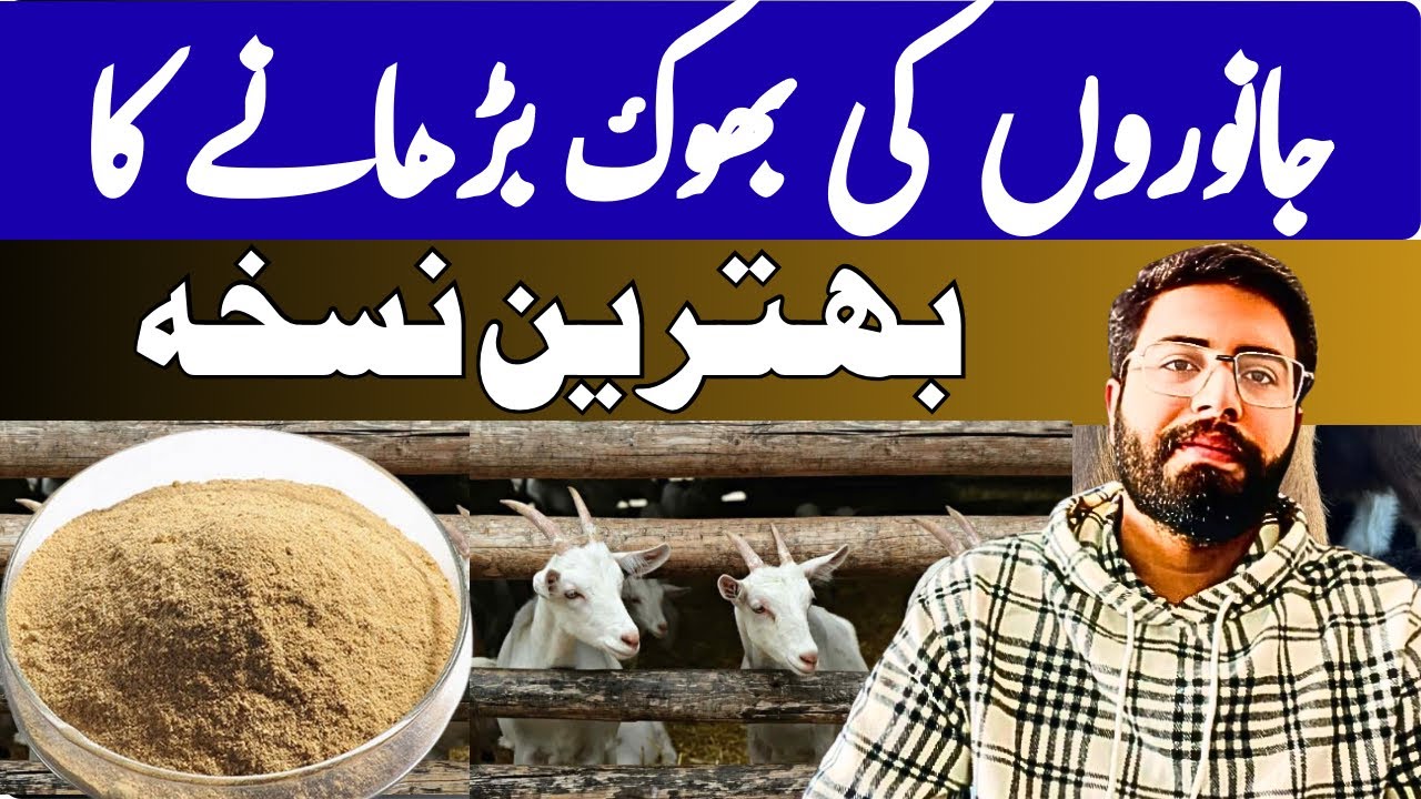 The best remedy to increase animals’ appetite.”