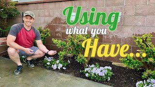 Do This and Create More Space for Colorful Annuals! |Gardening with the Williams'