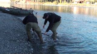 I Caught a Rainbow Trout in Alaska