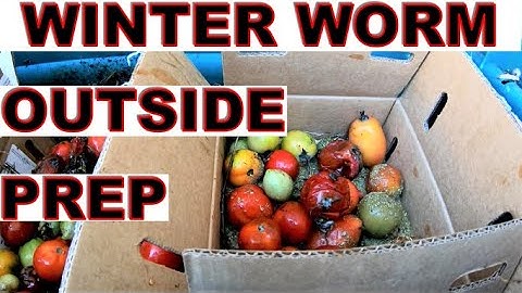 How to keep OUTSIDE worms bins warm in cold Winters