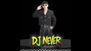 ចង់អោយនារី១០នាក់អង្គុយលើភ្លៅនេះ x Hotel Room DJ NEVER 2025#remix #duet #mashup #dj #dj 