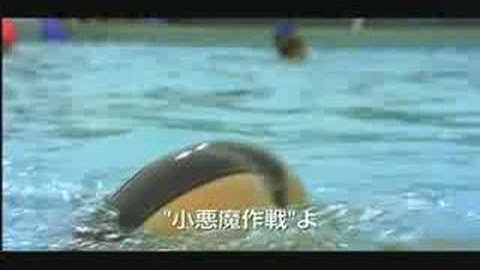 映画『ジョージアの日記 ゆーうつでキラキラな毎日』予告編