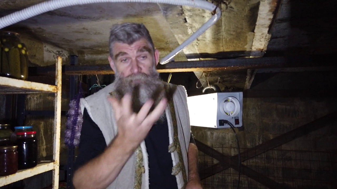 Проект живая баня иван бояринцев