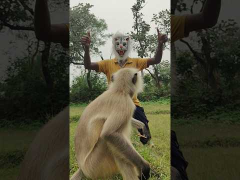 Animal Mask Dekhte Hi Langur Mere Paas Aa Gaya 🐯🐒❤️