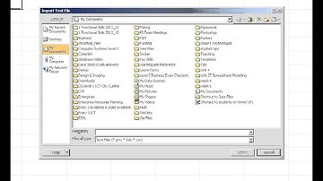 Importing a text file into Microsoft Excel