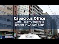 Capacious Office with Ready Corporate Tenant in Ankara Ulus | Tekce Tekce Overseas Gayrimenkul AS