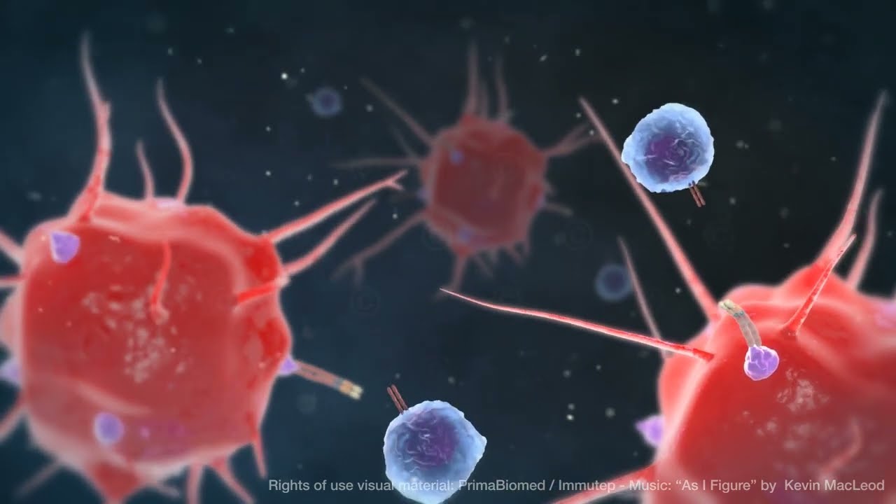 3D Animation Krebsimmuntherapie