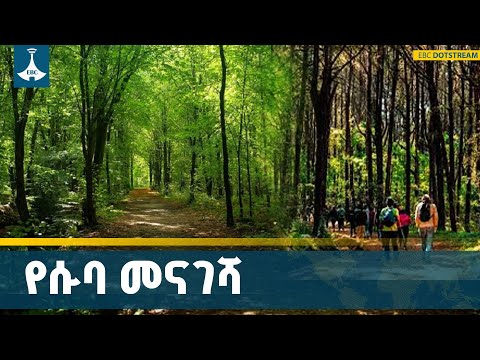የሱባ መናገሻ ዕድሜ ጠገቡ ጥብቅ የመስህብ ሥፍራ ETV EBC EBCDOTSTREAM