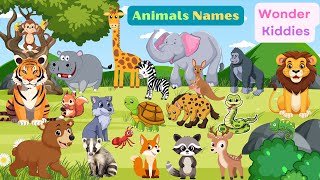 Fun Animal Names for Kids | Learn Animal Sounds and Names with Wonder Kiddies