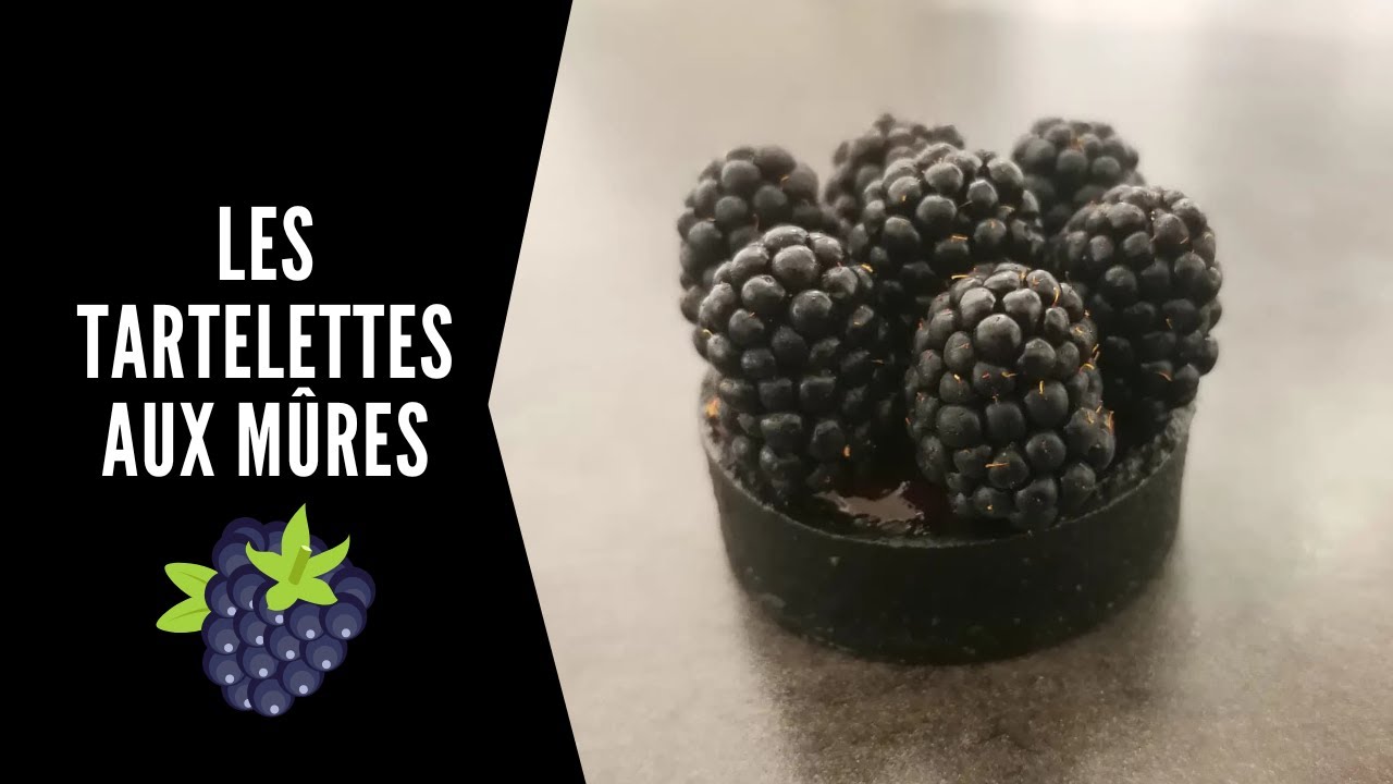 Tartelettes aux mûres