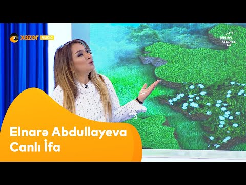 Elnarə Abdullayeva - Canlı İfa