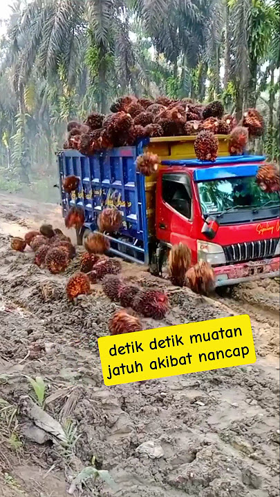 mobil truck sawit muatan penuh berjatuhan #automobile #viralvideo #fyp #driver#mobiloleng #shots