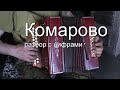 Комарово разбор с цифрами