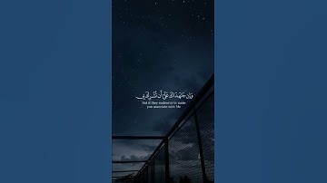من سورة لقمان | القارئ : فارس عباد