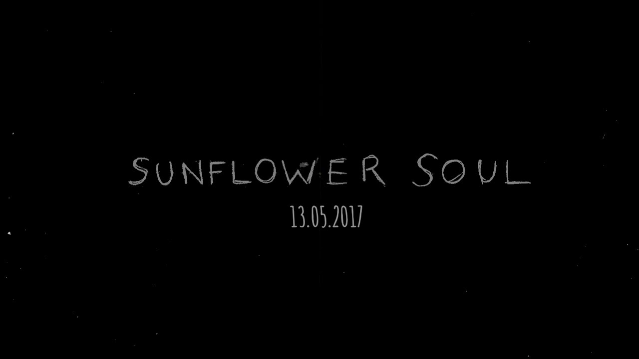 Strange Froots - Sunflower Soul (Official Trailer)