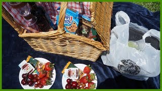 PAUL&#39;S BIRTHDAY PICNIC | RominaVlogs