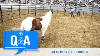 Horse Has No Draw in the Roundpen  Q&A With Clinton Anderson