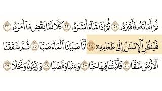 سورة عبس الشيخ ابوبكر الشاطري