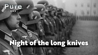 Night of the long knives: Hitler's rise to power - Episode 2 | PURE WW2