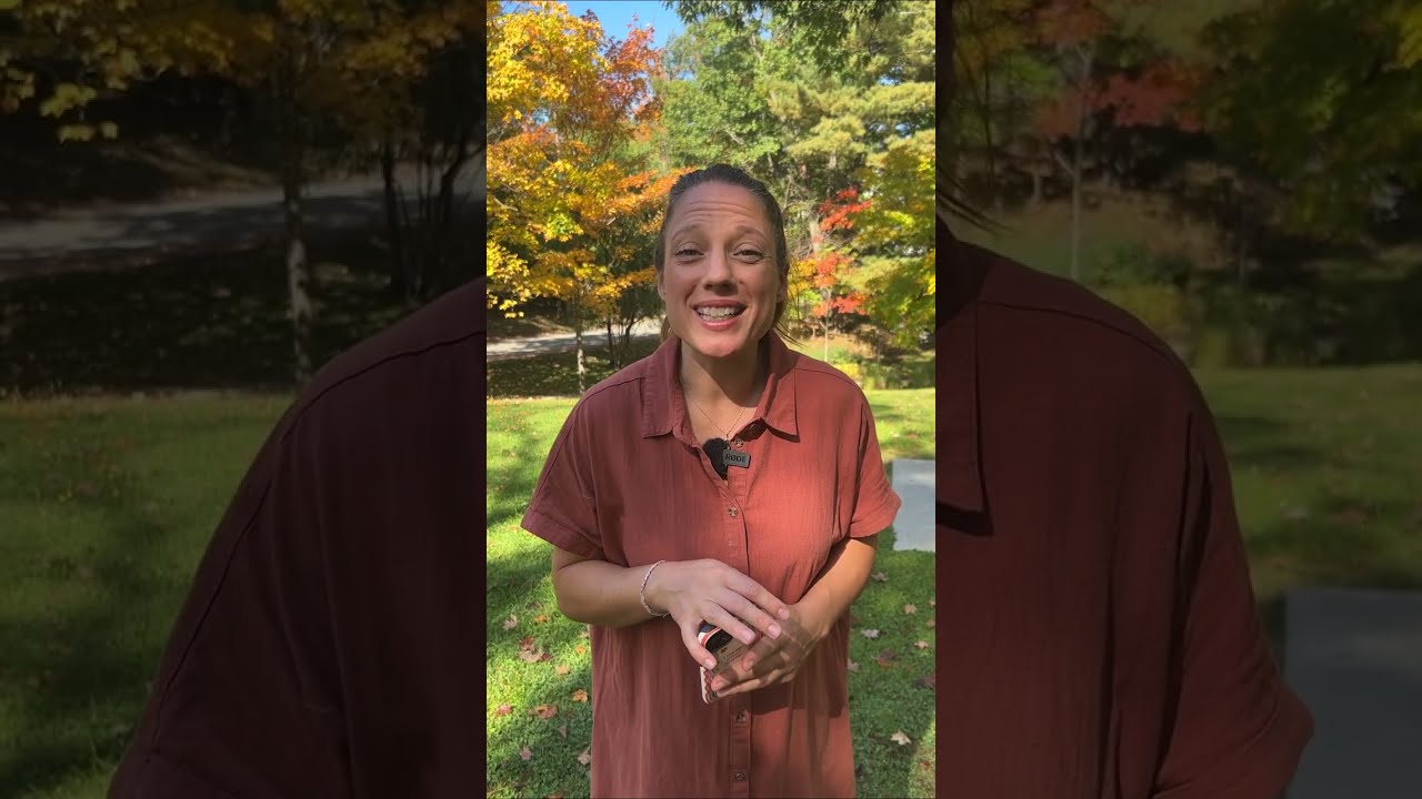 [VIDÉOJOURNAL] Les distractions au volant montrées du doigt