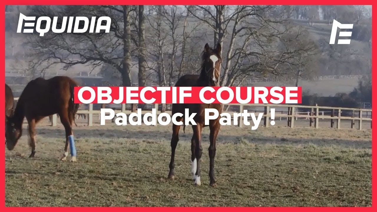 QUAND LES POULAINS FONT LES FOUS ! | Objectif Course #17