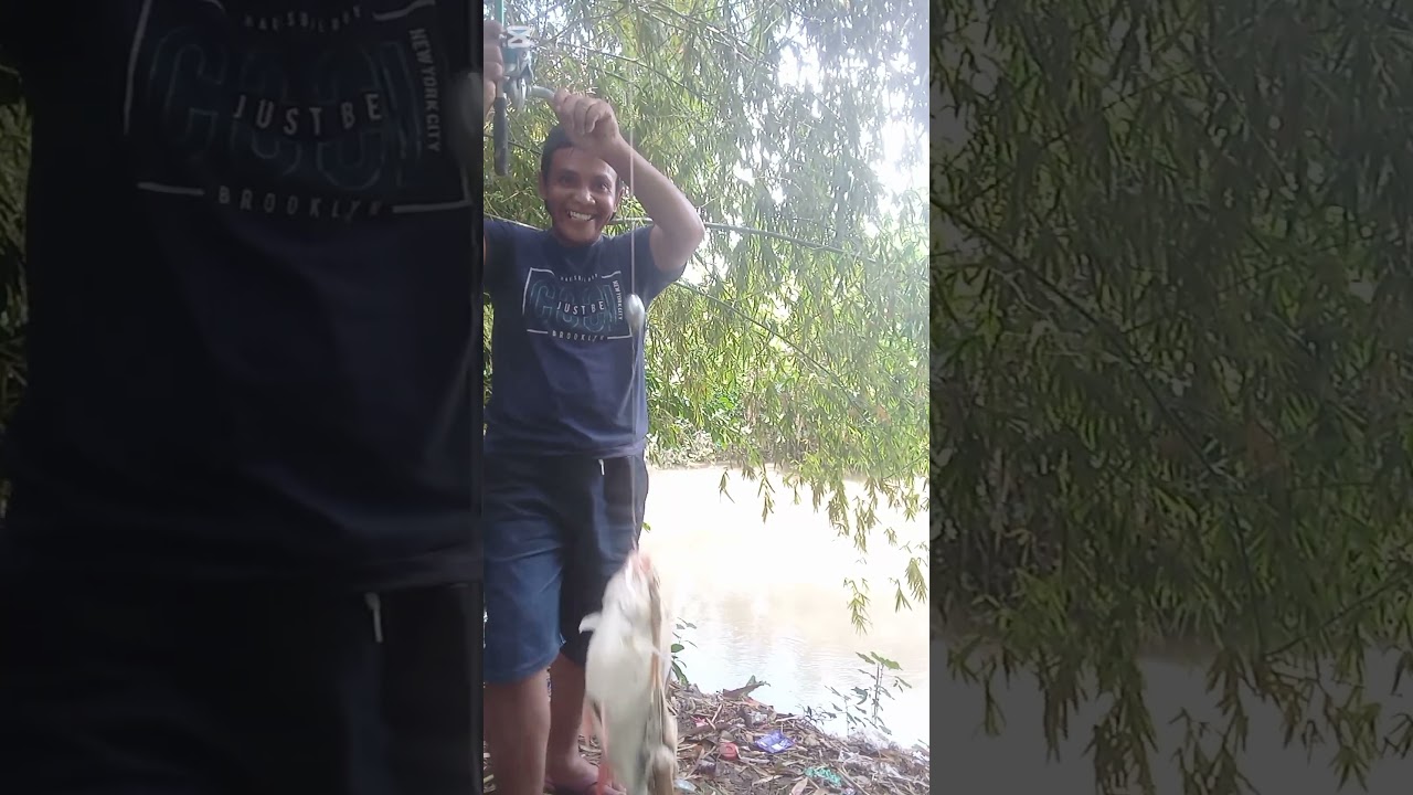 lagi dan lagi streak babon 