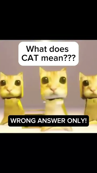 what-does-cat-mean-youtube