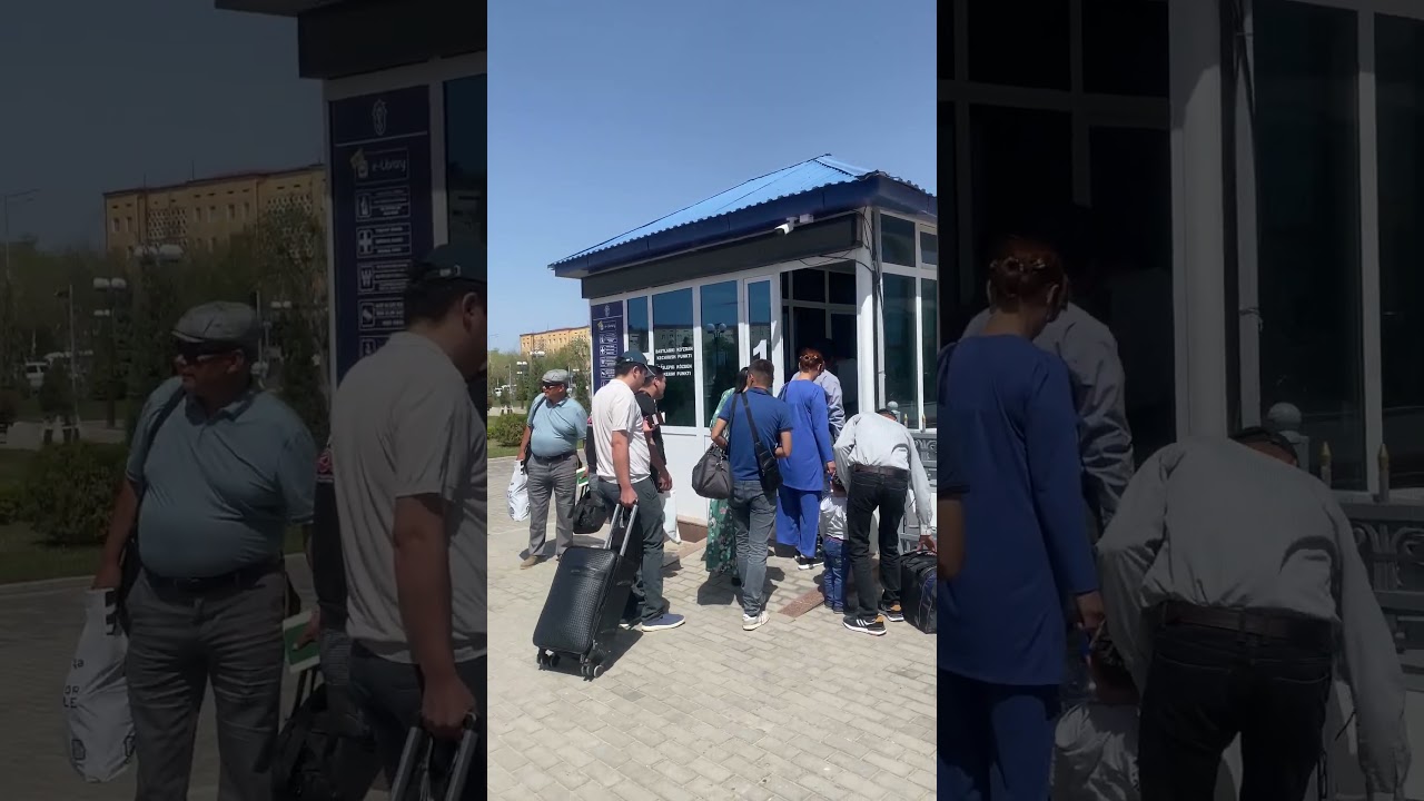 Timvr jiujitsu team🔥