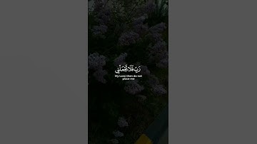 قُل رَّبِّ إِمَّا تُرِيَنِّي مَا يُوعَدُونَ|القارئ رعد الكردي.