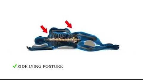 Good Posture in Sleeping • Member of The Physical Web Pages by YouDoAds