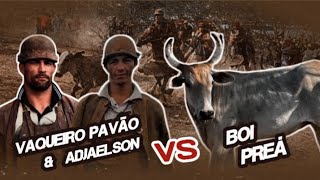 Vaqueiro Pavão e Adjaelson querem correr o Boi Preá no 2° Torneio de Pega de Boi