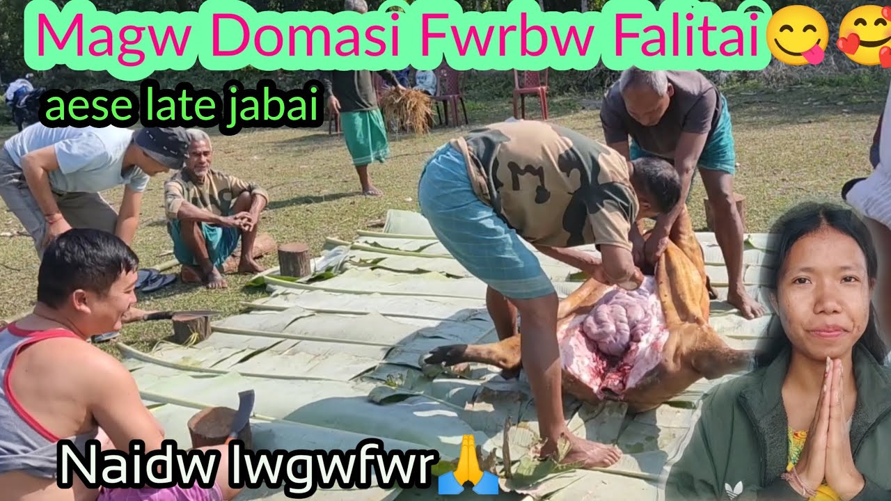 Magw Domasi Fwrbw  falitai