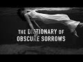 The dictionary of obscure sorrows by john koenig