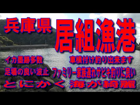 #137兵庫県居組漁港とにかく海が綺麗E9山陰近畿自動車道無料区間道の駅山陰海岸ジオパーク浜坂の郷足場の良い波止車横付け釣り出来ます波止が低いので安全ファミリー家族連れサビキ釣りに良い石積波止が良い