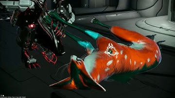 Warframe - Kavat interactions