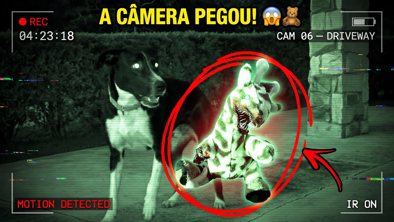 A CÂMERA PEGOU A PELÚCIA LEVANDO A CACHORRA 😭😱
