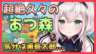 【あつ森#09】超絶久々のあつ森🌳フレアのお手紙も見るぞお！！【白銀ノエル/ホロライブ】
